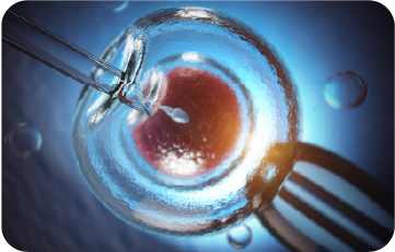 TRADITIONAL SURROGACY