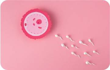 GESTATIONAL SURROGACY